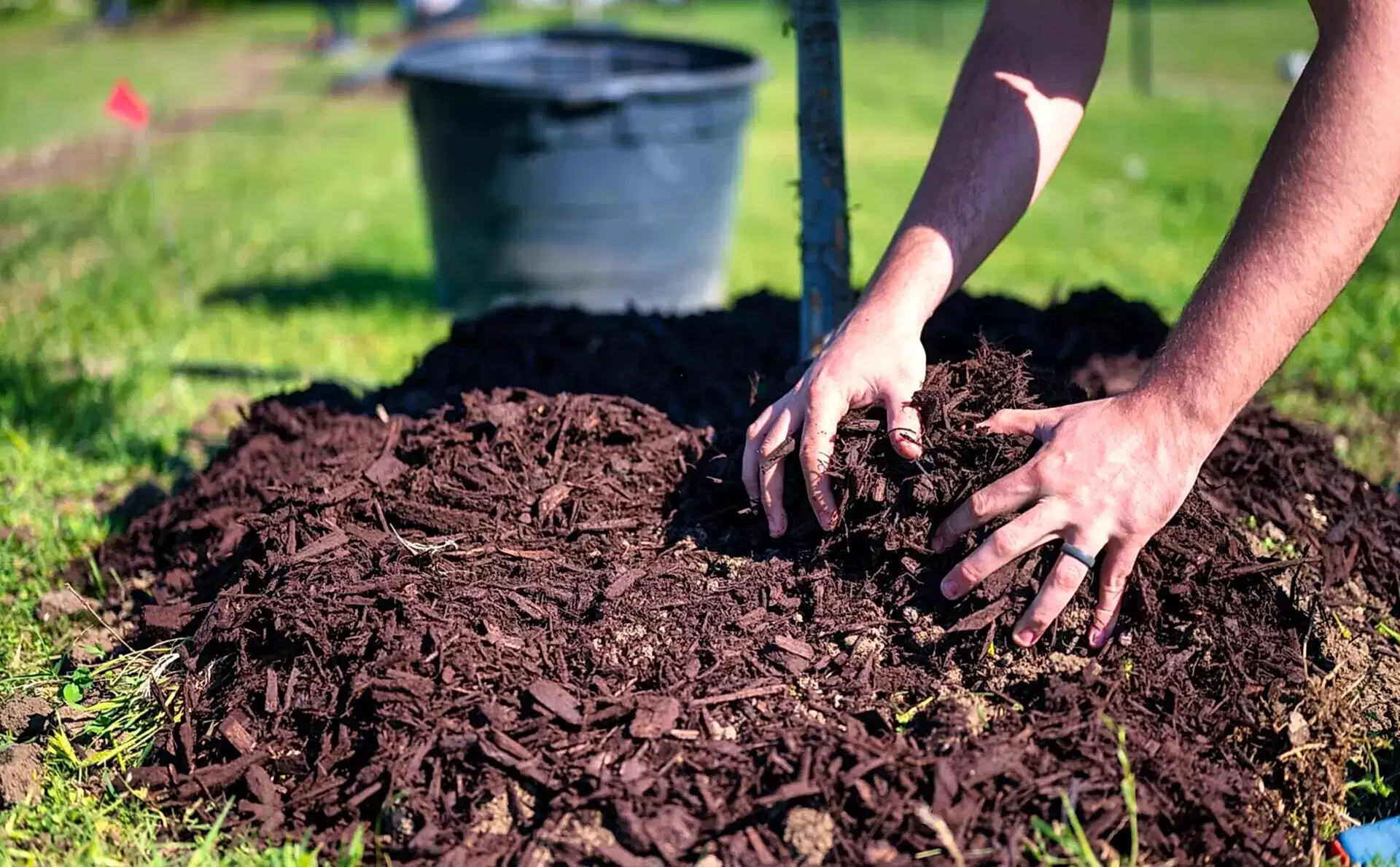 Mulching Cropped